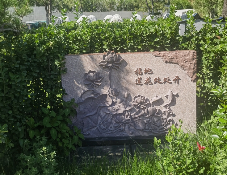 园区环境